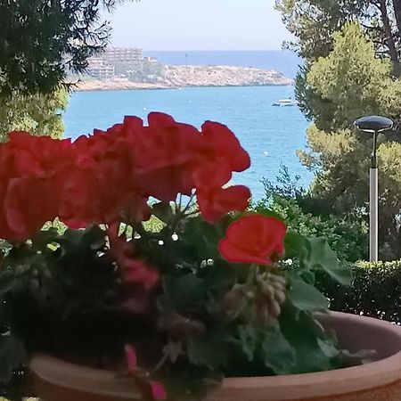 Beach & Flowers Free Parking Salou Dış mekan fotoğraf