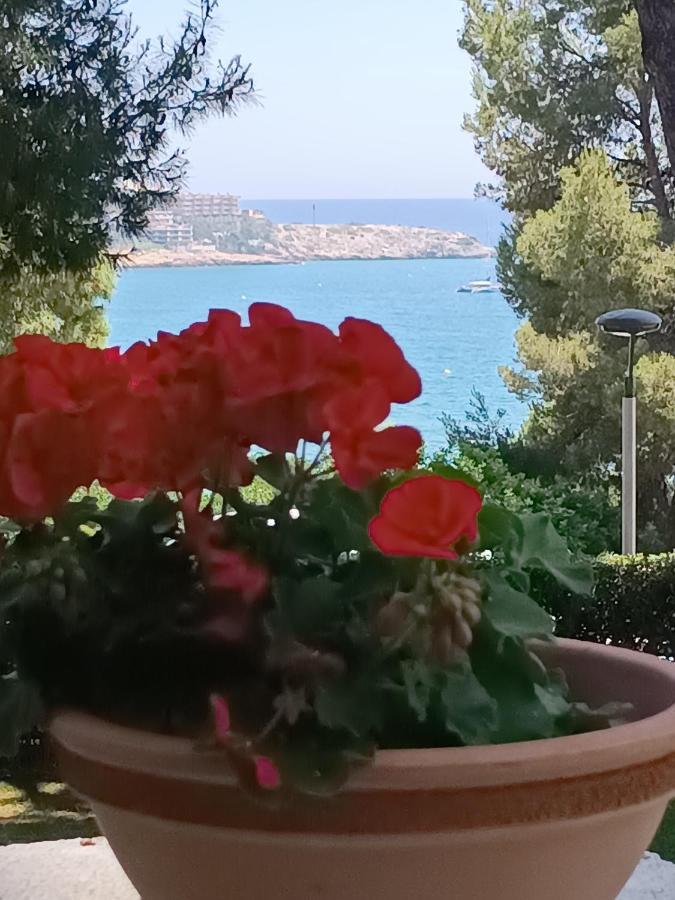Beach & Flowers Free Parking Salou Dış mekan fotoğraf
